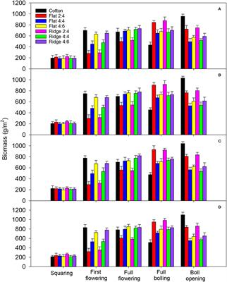 Effects of Cotton–Peanut Intercropping Patterns on Cotton Yield Formation and Economic Benefits